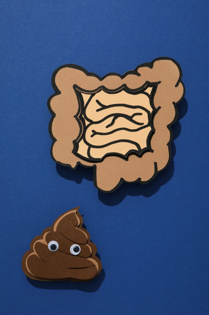 Zijn onze darmen ons tweede brein