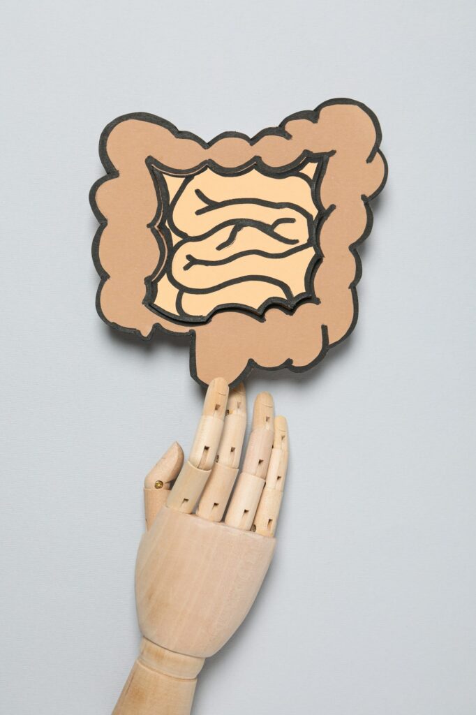 Concept of health care, stomach and intestinal problems