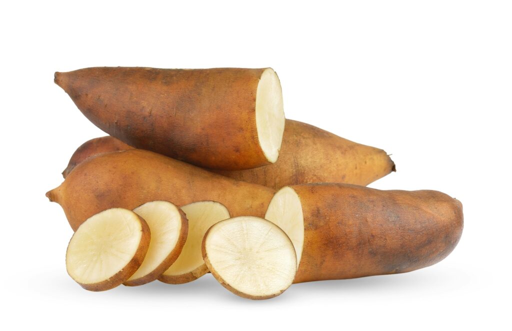 yacon gezondheidsbommetje